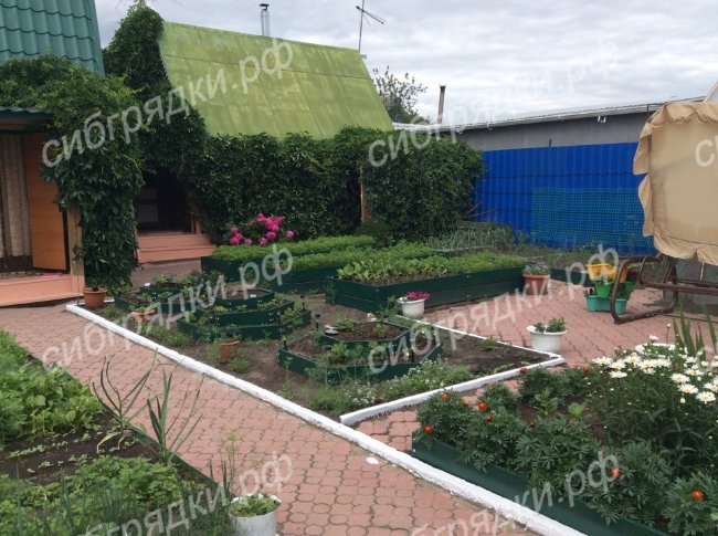 Клумба "Альпийская горка" в Новокузнецке