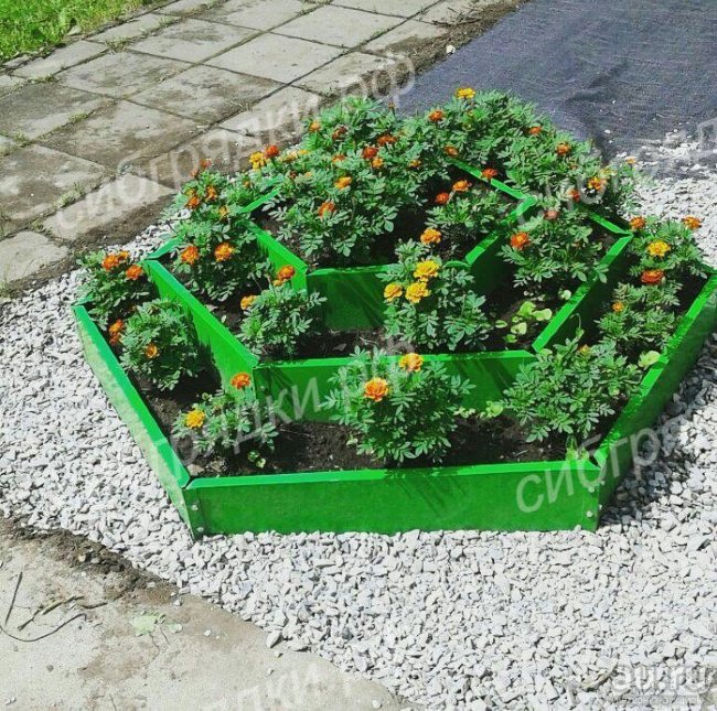Клумба "Альпийская горка" в Новокузнецке
