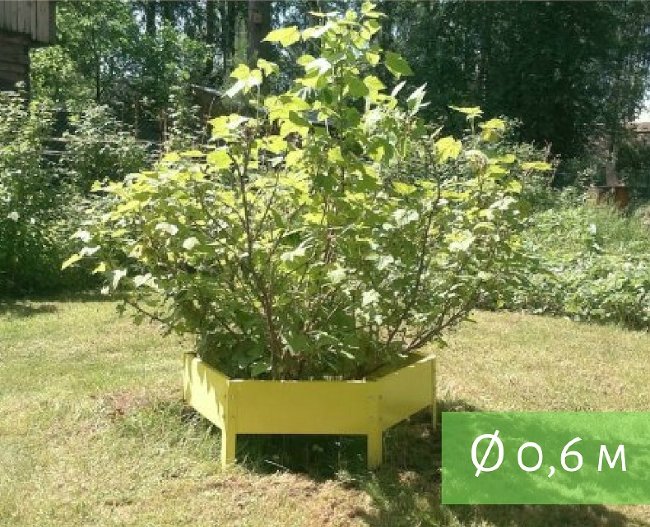 Клумба "Сота" 300 в Новокузнецке