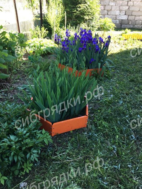 Клумба "Сота" 400 в Новокузнецке