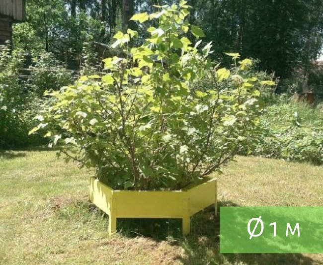Клумба "Сота" 500 в Новокузнецке Клумба "Сота" 500 в Новокузнецке