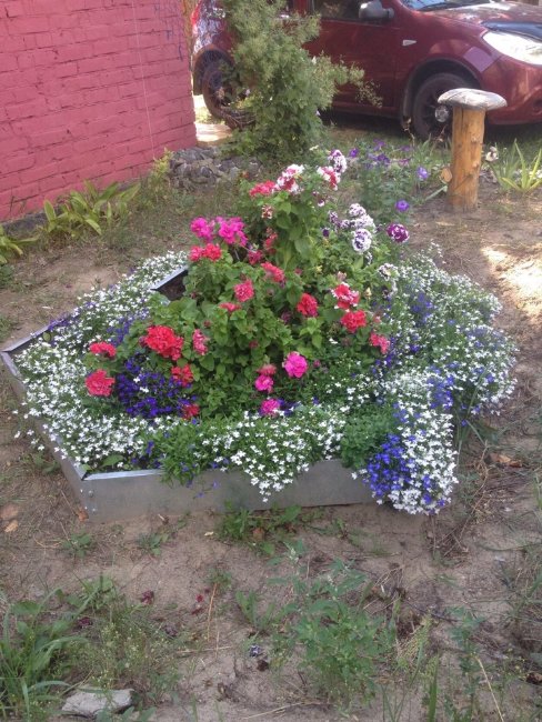 Клумба "Сота" 400 оцинкованная в Новокузнецке